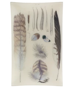 John Derian Plumes Tray Gifts