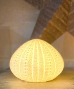 Scout Homewares Bone China Sea Urchin Lamp