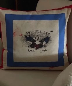 Vox Populi Fourth July Cushion No 53 - 60 X 60 Gifts