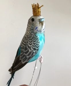 Scout Homewares Regal Feathered Budgie Decoration