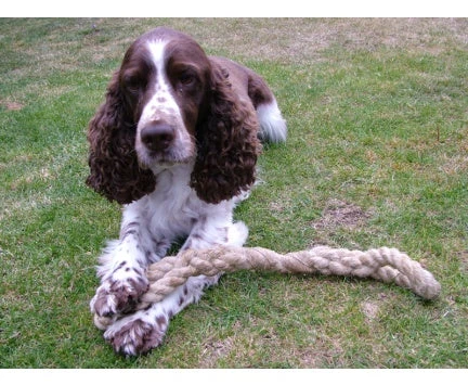 Chatham Rope Yard Dog Pull Rope Toy Made In Historic Chatham Boatyard