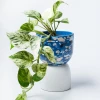 Scout House Gifts Beverly Pot - Blue
