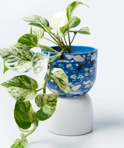 Scout House Gifts Beverly Pot - Blue