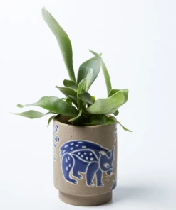 Scout House Wombat Planter Gifts