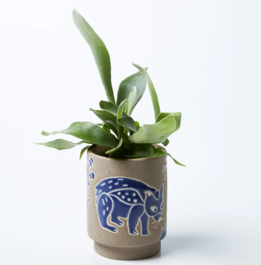 Scout House Wombat Planter Gifts
