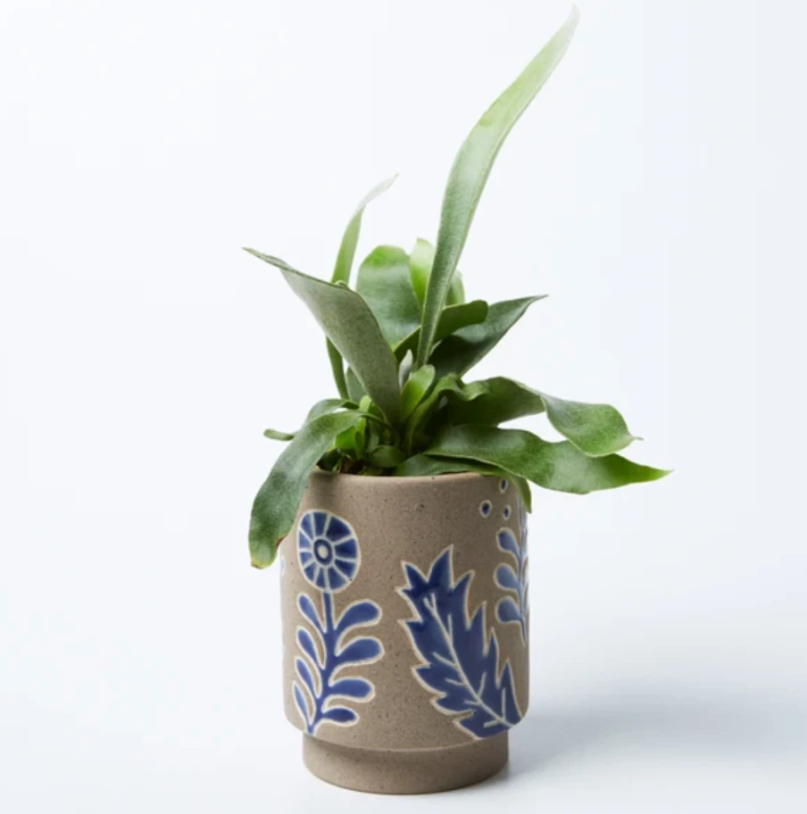 Scout House Wombat Planter Gifts