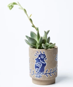 Scout House Galah Planter