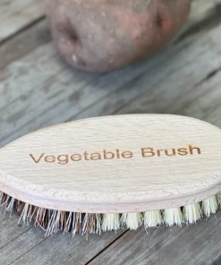 Scout Vegetable Cleaning Brush With English Script