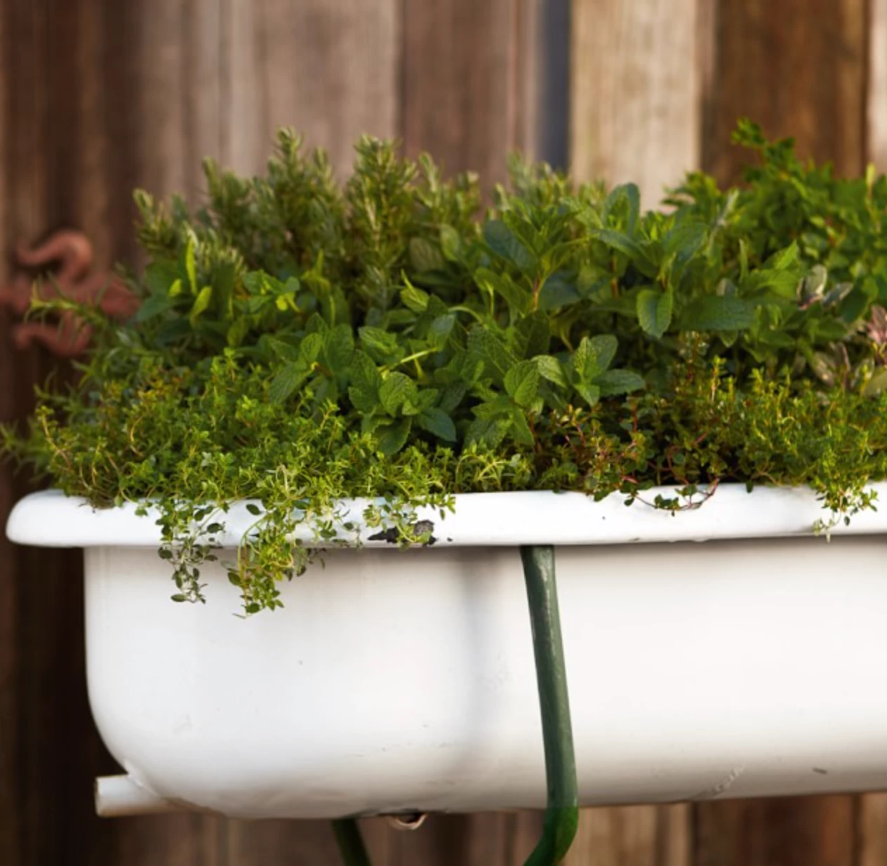 Scout House Vintage European Enamel Bath In Stand