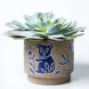 Scout House Homewares Koala Planter
