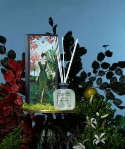 Gifts AMERICA Diffuser By Santa Maria Novella