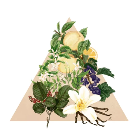 Santa Maria Novella - Angels Of Florence - 1221 Edition