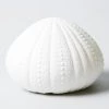 Scout Homewares Bone China Sea Urchin Lamp