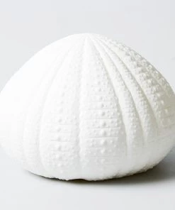 Scout Homewares Bone China Sea Urchin Lamp
