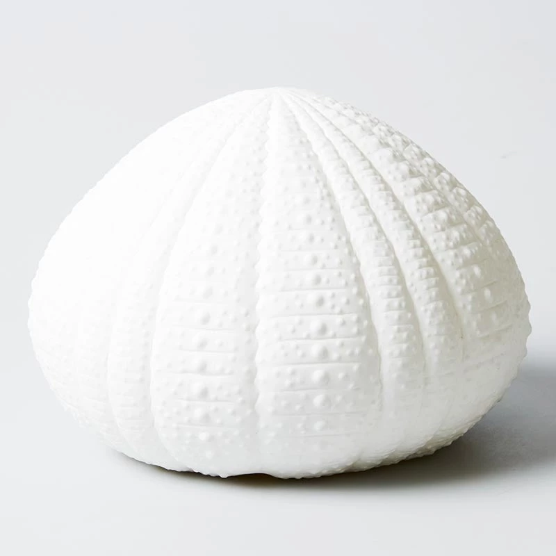 Scout Homewares Bone China Sea Urchin Lamp