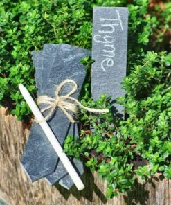 Scout Homewares Slate Plant Labels