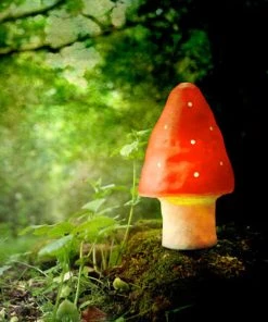 Homewares Toadstool Small Night Light By Heico